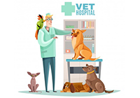AVEPA-SEVC 2023 CONGRESS OF VETERINARY DOCTORS