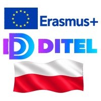 Цифрові горизонти DITEL: досвід Сілезької академії
